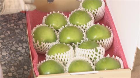 破紀錄！大社果農種出巨無霸蜜棗　達11兩重誤以為是青蘋果