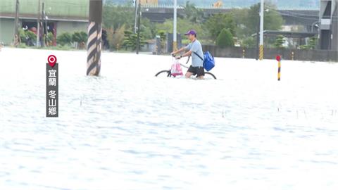 青雉上將來了!民眾淡定騎鐵馬 宜蘭汪洋意外神還原「這一幕」