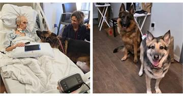 臨終前見最後一面！男子與兩愛犬團聚　救援組織助完成心願