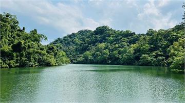 秘境再現驚艷回歸！後慈湖試營運首日爆滿　遊客大讚：美到不像真的！