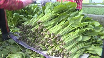 蔬菜空窗期價格飆高  四季豆一斤70元！