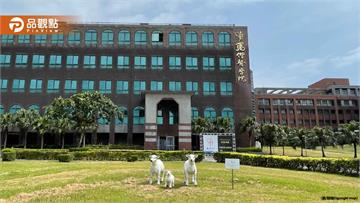 馬偕砸錢栽培博士！女講師教8個月就辭職　法院認證要吐87萬