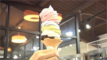  「彩虹霜淇淋」6種口味一次嚐！北海道美食在台灣