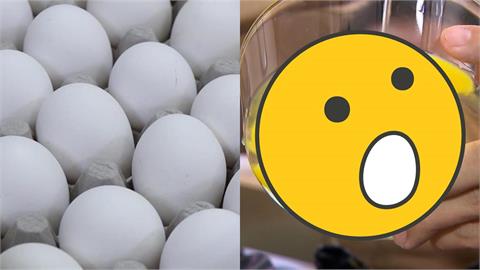 禽流感疑「蛋流市面」掀恐慌　無毒教母親授6招：別生食、這情況快丟掉！