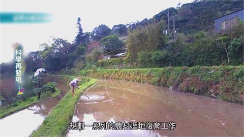 推動溼地復育　用友善耕作恢復水梯田