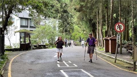 颱風來襲！溪頭遊客銳減　森林園區防颱滴水不漏