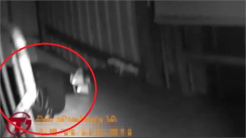 長髮女詭異蜷縮逃生梯　真相...　喝太醉　不小心睡著