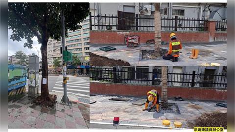 快新聞／台北市政又出包！街頭驚見「樹樹有水泥」　她氣炸開轟了