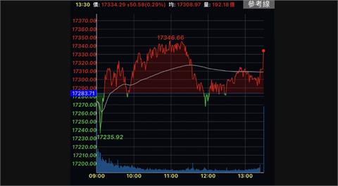 台積電擺尾　台股上揚50點連5紅重返17300點