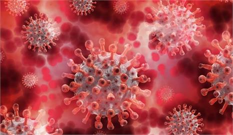 快新聞／赤道幾內亞爆「馬堡病毒」疫情　已9人染疫亡