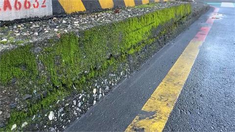 基隆都市傳說「公車會長草」　　公車處證實是真的！諾加強清潔