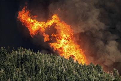 熱浪肆虐！　日本7月均溫創新高　美國死亡谷現55度高溫