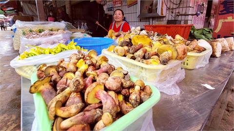 吃它少煮15分鐘「看見小精靈」？神祕菌菇美味藏玄機「全球驚見相似幻象」