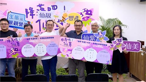 新品種仙草！「能吃還具觀賞價值」　變身創意料理搶商機