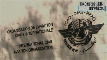 快新聞／ICAO荒謬稱「中國台灣省」 加拿大議員挺台開嗆：是被中共接管了嗎？