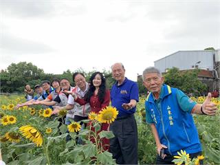 把握賞花良機！中壢「這地方」美拍向日葵、波斯菊花海