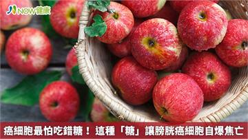 癌細胞最怕吃錯糖！ 這種「糖」讓膀胱癌細胞自爆焦亡