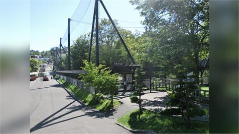 旭山動物園員工「殺妻屍丟焚化爐」犯後還做1事…恐面臨無限期休業！