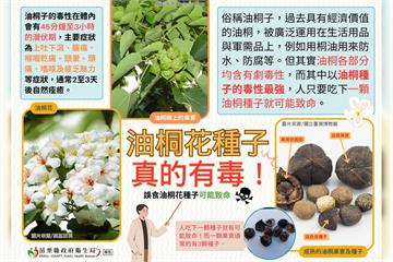 陽明山知名私校出事　6生誤食「油桐子」身體不適送醫