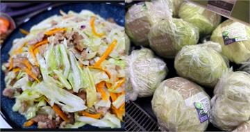 網掀話題「台灣有全世界最好吃高麗菜」　全場點頭：國外吃真的嚇到
