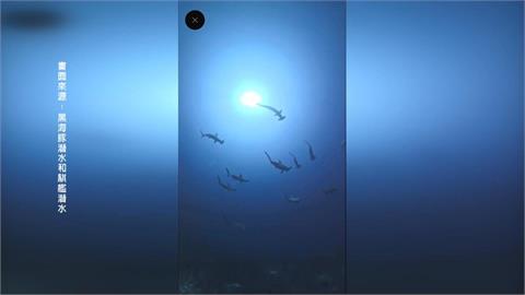 不用去日本！「錘頭鯊風暴」現蹤墾丁海域　潛水客驚呼連連