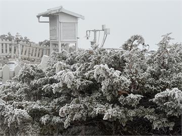 快新聞／追雪有望！太平山今呈霧淞景象　玉山「-4.1度」變銀白世界