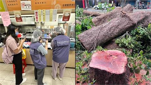 營養午餐中毒僅罰18萬？移植樹「不小心」變移除樹？馬郁雯：北市沒螺絲！
