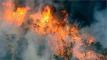 澳洲雷擊引森林大火 強風助長火勢持續延燒