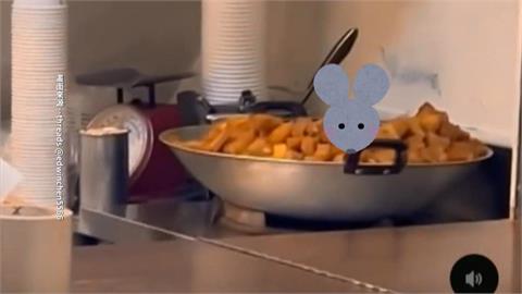 買小吃嚇「鼠」人! 新北滷味攤米奇亂竄、嘉義蜜糖地瓜被偷吃