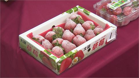 抽驗12件市售草莓農藥　竟一半不符合規定