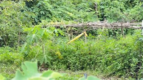 新竹新埔六旬男失聯　菜園尋獲死因排除溺斃