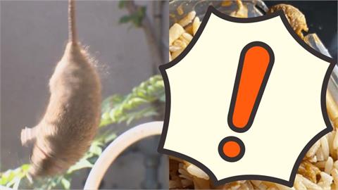 巴西17歲少女「午餐狂加老鼠藥」妄毒害全家　只因被下「禁愛令」！