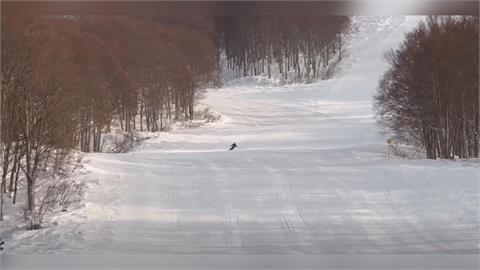 快新聞/旅日再出事!熊本失聯未平、新潟再傳台人受困 遊客滑雪場迷路