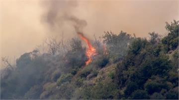 南加州比佛利山莊爆野火 86戶撤離