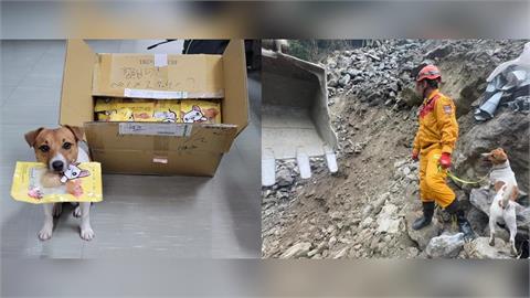 快新聞／Wilson遭踹頭身亡？花蓮縣消防局急否認　黃瓊慧爆：被拉著牽繩往牆撞