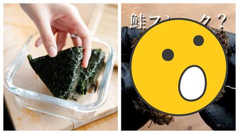 日本YTR超狂實驗！超商飯糰「埋土中」30天結果曝　網歪樓：微生物超萌