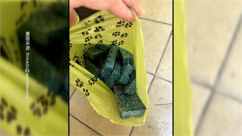 台南豐興公園遭投放大量老鼠藥　滅鼠超前佈署？恐貓犬誤食派員清除