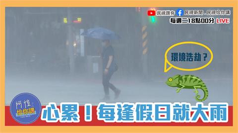 《阿愷佮你講》台灣進入極端酷熱夏季？為何逢假必雨？野生綠鬣蜥該除該留？EP24
