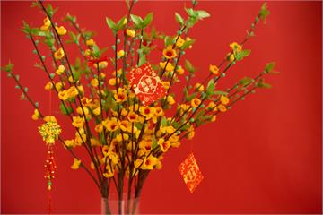 窮鬼退散！馬年十大招財植物懶人包　助你財富再加碼