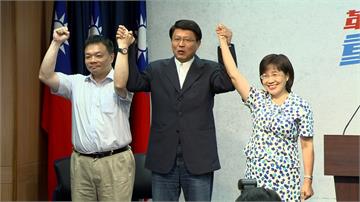 國民黨台南市長初選 高思博勝出戰黃偉哲