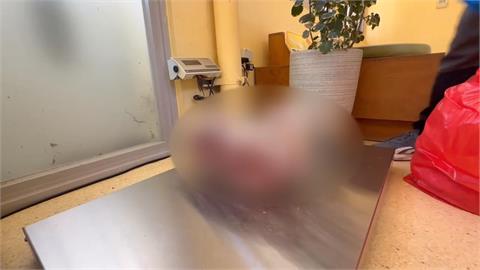 新竹市逮獲移工非法運送狗肉　當場起出＂半隻狗肉塊＂