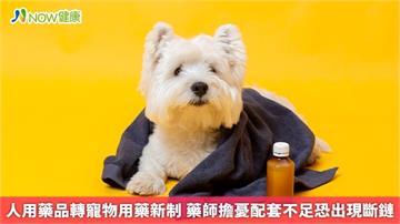 人用藥品轉寵物用藥新制 藥師擔憂配套不足恐出現斷鏈