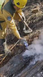 梨山森林大火延燒１１公頃　陸空聯手！空勤灑水控制火勢