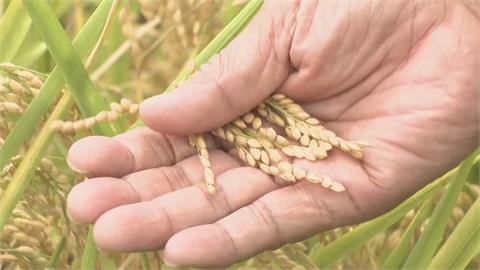 30年來最嚴重枯旱期！　高雄節水抗旱見成效供水穩定
