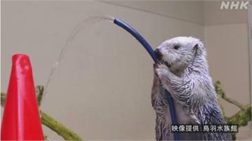 打火姿勢百分百 日海獺拍消防影片獲表揚