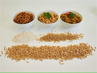 碳水減3成、纖維多10倍！澳洲560萬澳元打造主食級燕麥米、亞洲市場搶先導入