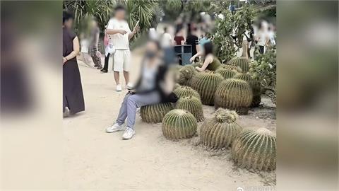 植物園多肉區驚見「金屬翹臀」？網一看笑翻：無情工商多肉植物