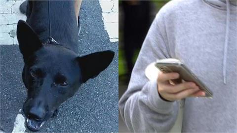 15歲女兒遛狗竟「遭持刀強擄」藏荒地　機警爸靠「手機1功能」勇救人！