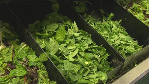 罹癌受折磨 研究:吃對食物助減緩癌友慢性疲勞