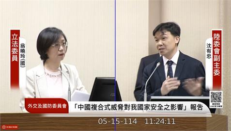 快新聞／舉球被殺？翁曉玲問「到中國交流有覺得被統戰嗎」　沈有忠：有